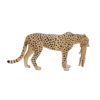Cheetah Female with Cub Toy – Realistic African Wildlife Figurine - Image 3