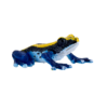 Poison Dart Frog Blue Toy – Realistic Rainforest Amphibian - Image 3