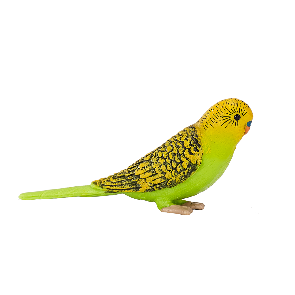 Green Budgerigar Toy – Realistic Exotic Bird Figurine Green Budgerigar Toy – Realistic Exotic Bird Figurine - Image 3