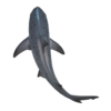 Bull Shark Toy – Realistic Ocean Predator Model - Image 3