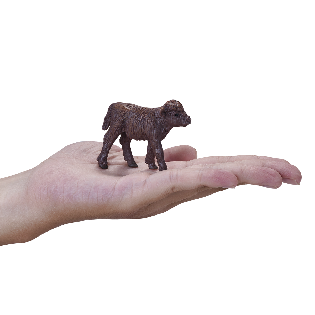 Highland Calf Toy – Realistic Farm Animal Figurine Highland Calf Toy – Realistic Farm Animal Figurine - Image 3