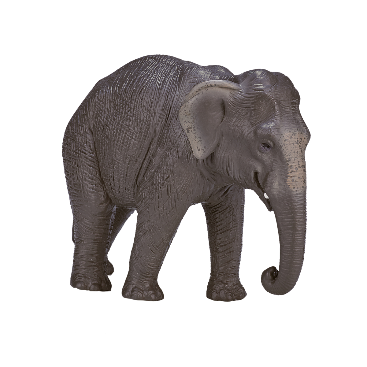 Asian Elephant Toy Figure – Realistic Wildlife Model Asian Elephant Toy Figure – Realistic Wildlife Model - Image 3
