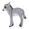 Donkey Foal Toy – Realistic Farm Animal Figurine - Image 3