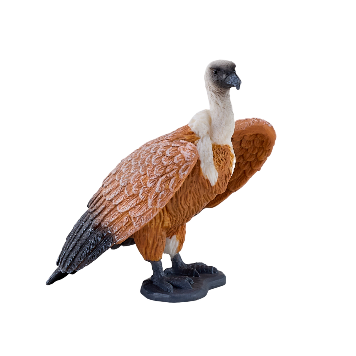 Griffon Vulture Toy Realistic Bird of Prey Model Griffon Vulture Toy Realistic Bird of Prey Model - Image 3