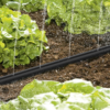15m Garden Sprinkler 15m Garden Sprinkler