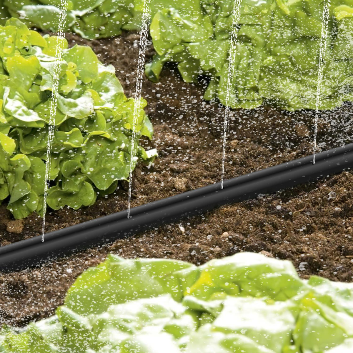 15m Garden Sprinkler 15m Garden Sprinkler - Image 4