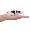 Koi Carp Showa Sanshoku Toy – Realistic Fish Model Koi Carp Showa Sanshoku Toy – Realistic Fish Model - Image 4