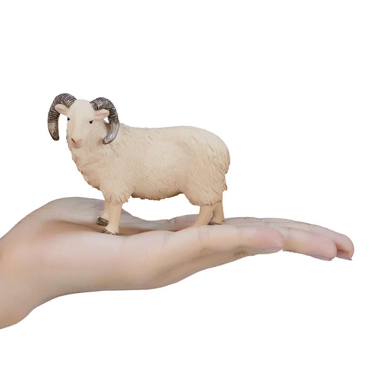 Sheep Ram Toy – Realistic Farm Animal Model Sheep Ram Toy – Realistic Farm Animal Model - Image 4