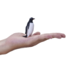 Gentoo Penguin Toy – Realistic Antarctic Bird Figurine Gentoo Penguin Toy – Realistic Antarctic Bird Figurine - Image 4