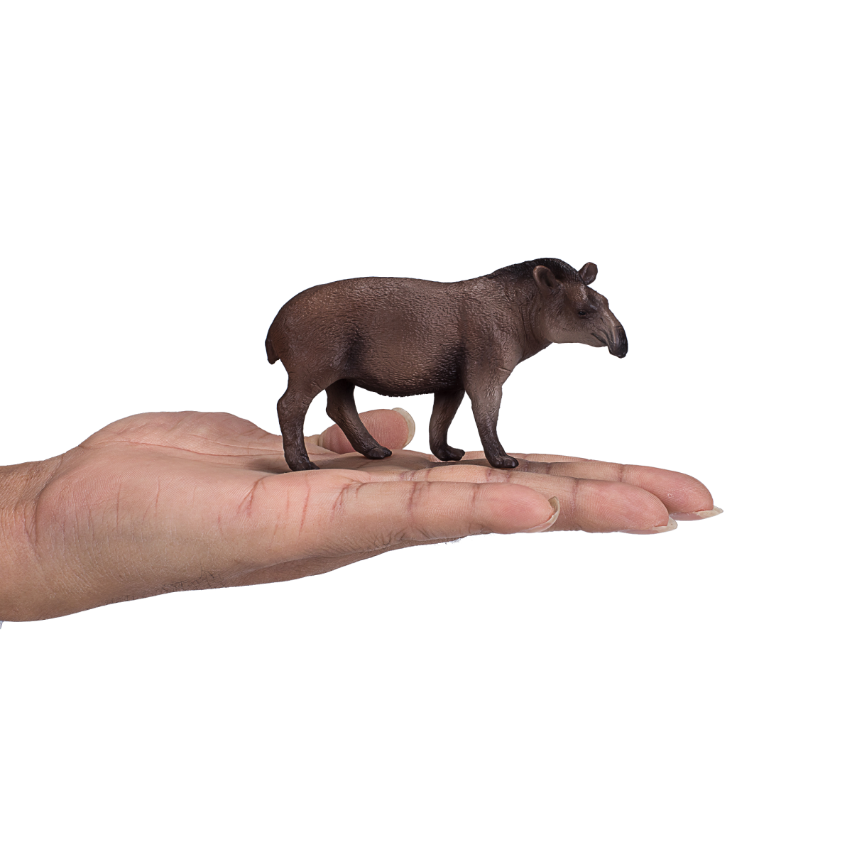 Brazilian Tapir Toy – Realistic Rainforest Animal Figurine Brazilian Tapir Toy – Realistic Rainforest Animal Figurine - Image 4