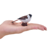 House Sparrow Bird Toy – Realistic Wildlife Figurine - Image 4