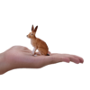 Hare Toy Figure – Realistic Woodland Animal Model - Image 4