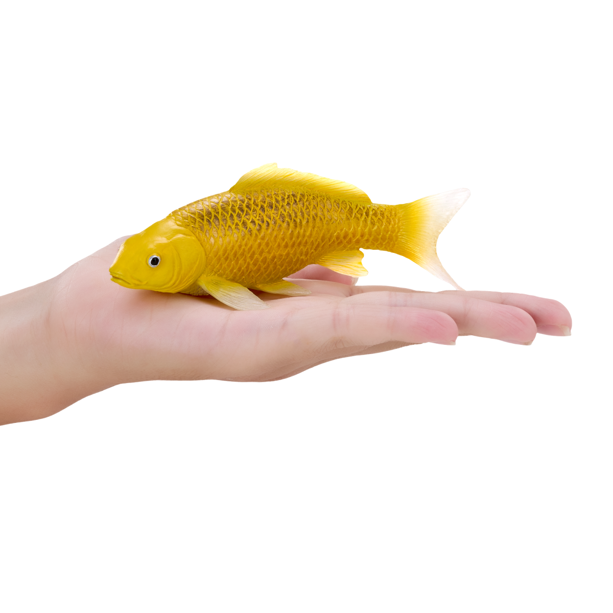 Koi Carp Kin Matsuba – Realistic Fish Figurine Koi Carp Kin Matsuba – Realistic Fish Figurine - Image 4