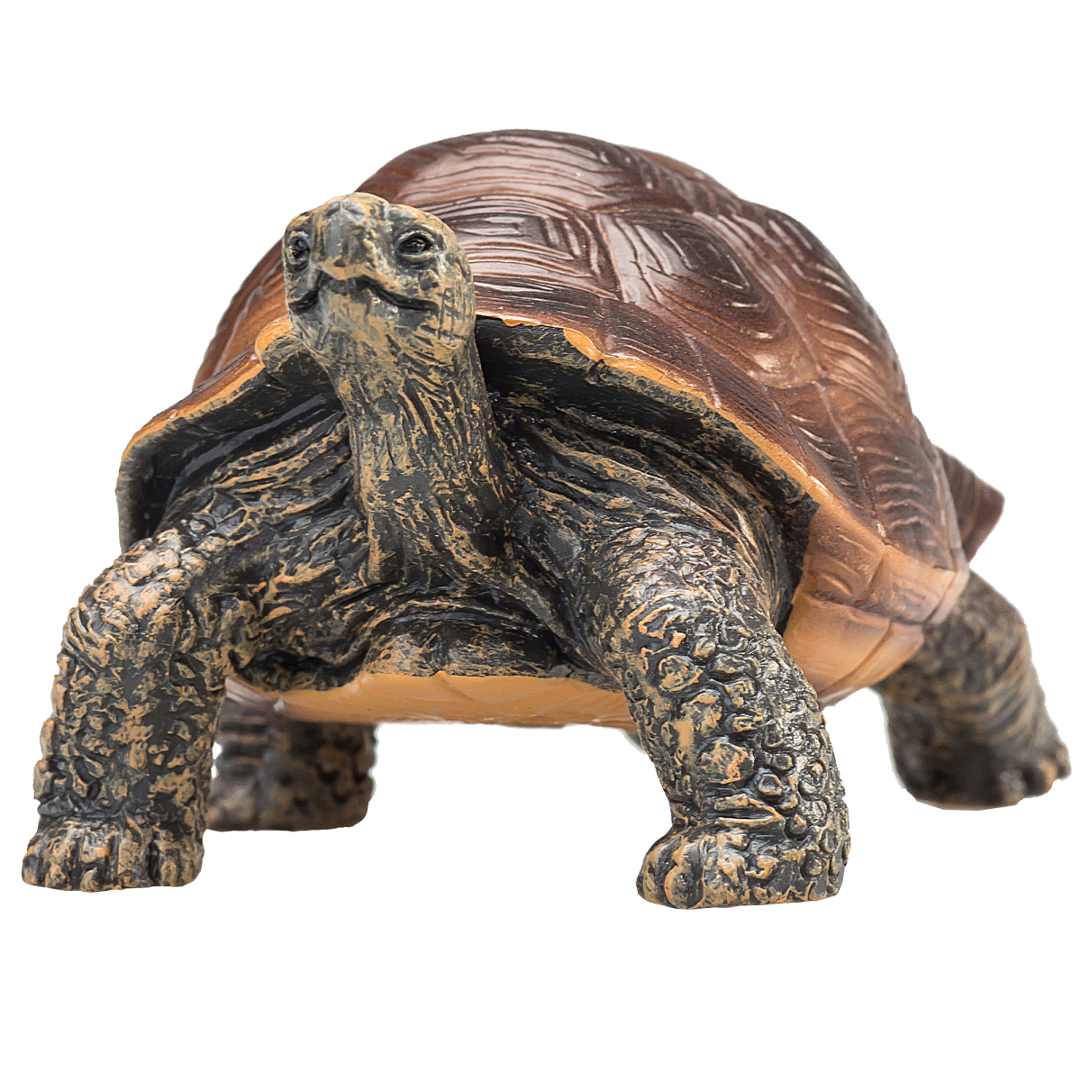 Giant Tortoise Toy – Realistic Reptile Model Giant Tortoise Toy – Realistic Reptile Model - Image 4