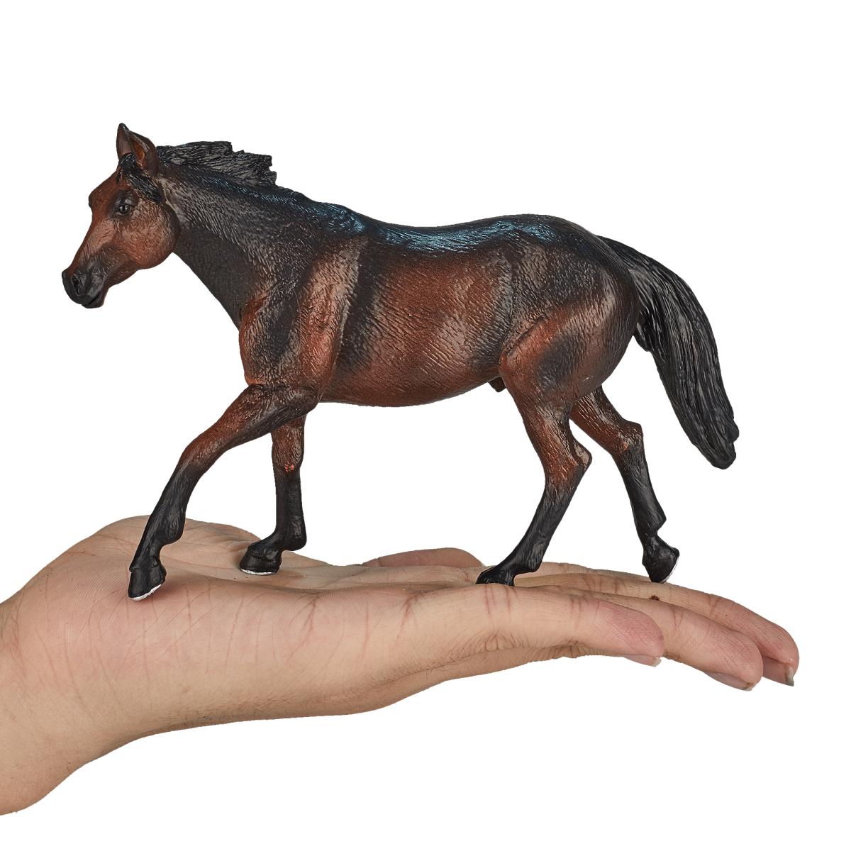 Quarter Horse Sooty Bay Toy – Realistic Equestrian Figurine Quarter Horse Sooty Bay Toy – Realistic Equestrian Figurine - Image 4