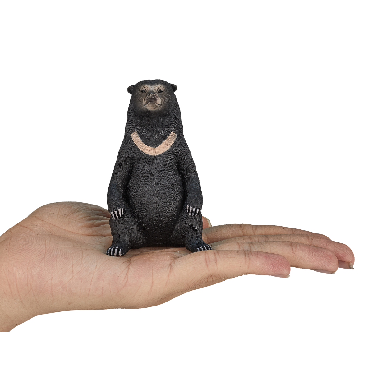 Sun Bear Toy – Realistic Wildlife Animal Figurine Sun Bear Toy – Realistic Wildlife Animal Figurine - Image 4
