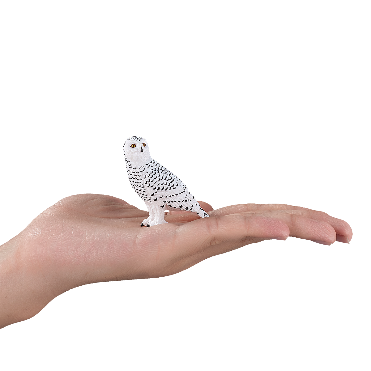 Snowy Owl Toy – Realistic Arctic Bird Model Snowy Owl Toy – Realistic Arctic Bird Model - Image 4