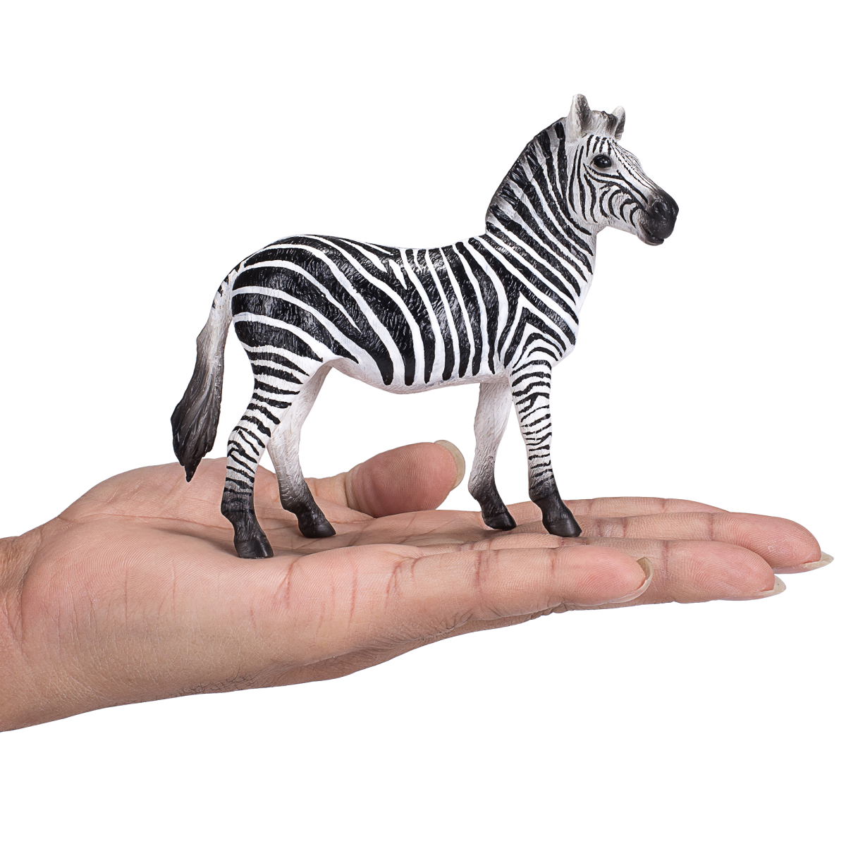 Zebra Mare Toy – Realistic African Wildlife Figurine Zebra Mare Toy – Realistic African Wildlife Figurine - Image 4