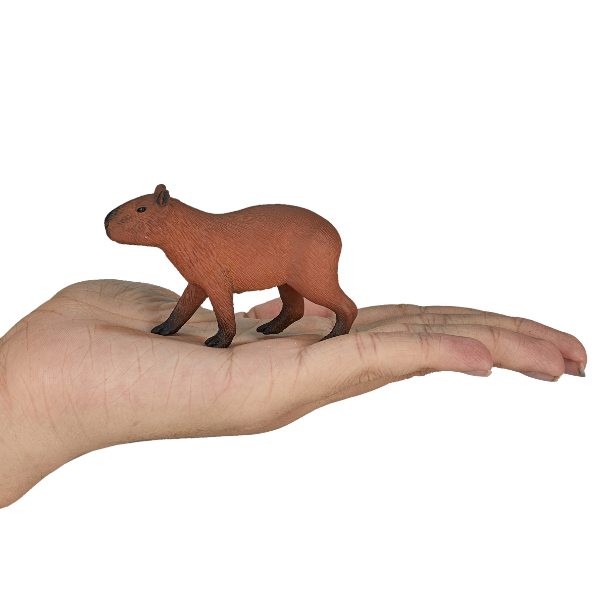 Capybara Toy – Realistic Wildlife Animal Figurine Capybara Toy – Realistic Wildlife Animal Figurine - Image 4
