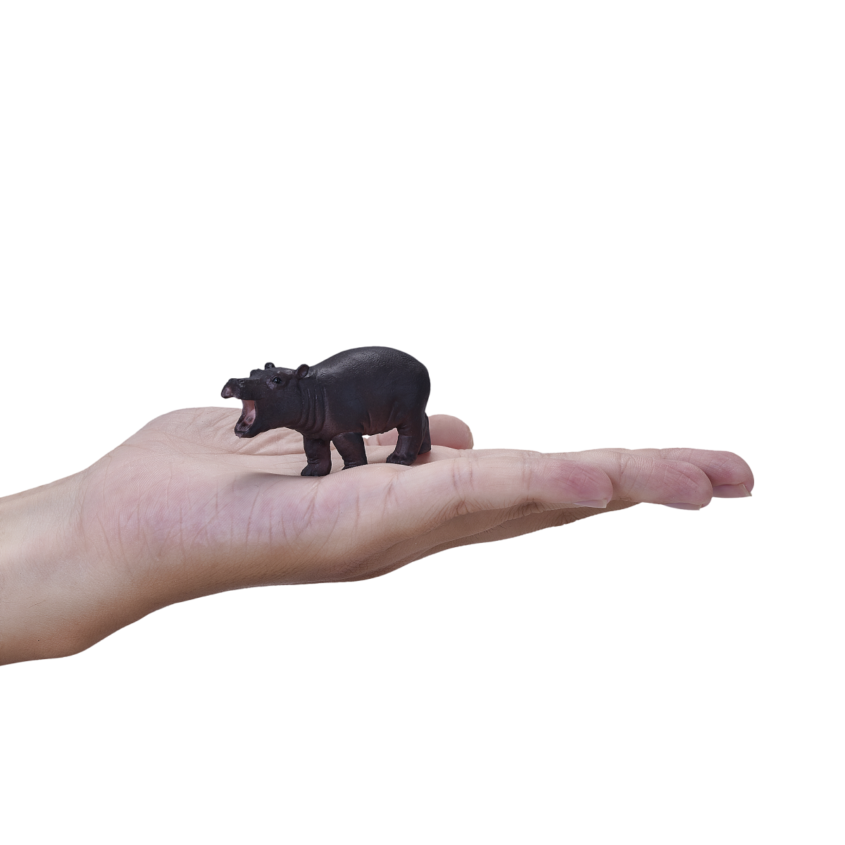 Hippo Baby Toy Figure – Realistic Wildlife Model Hippo Baby Toy Figure – Realistic Wildlife Model - Image 4