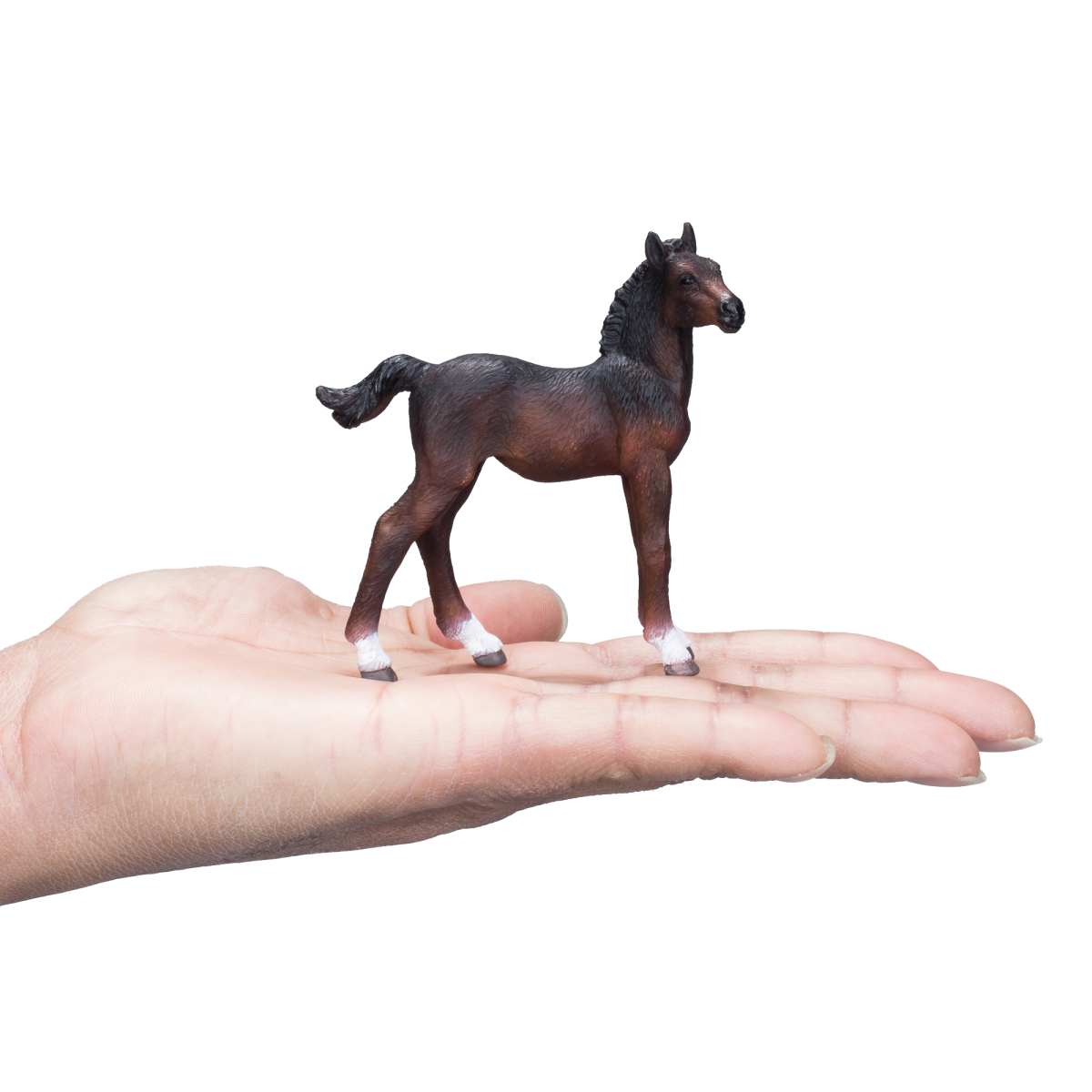 Hanoverian Foal Bay Toy – Realistic Equestrian Figurine Hanoverian Foal Bay Toy – Realistic Equestrian Figurine - Image 4