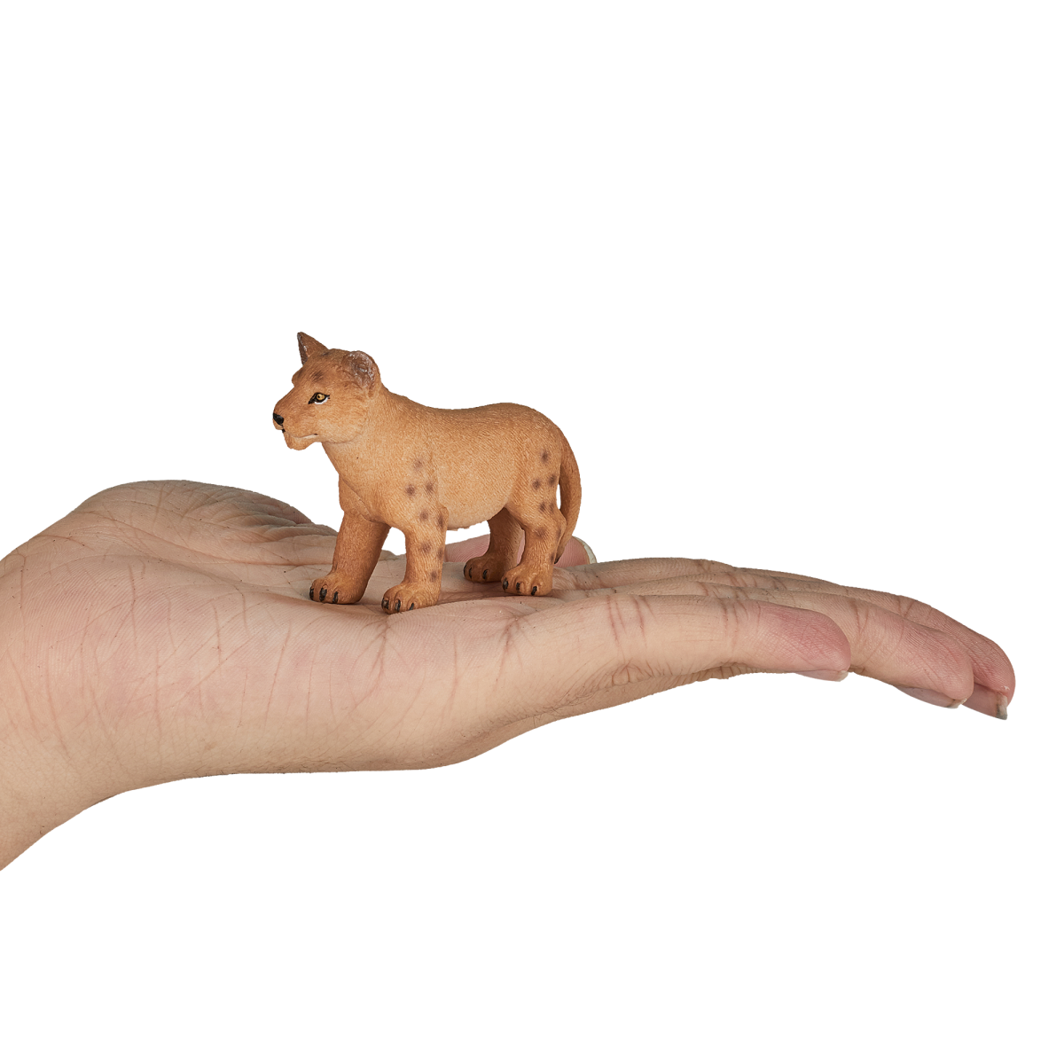 Lion Cub Standing Toy – Realistic Big Cat Figurine Lion Cub Standing Toy – Realistic Big Cat Figurine - Image 4