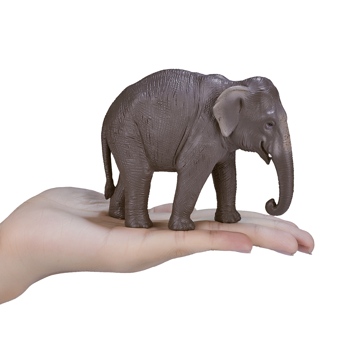 Asian Elephant Toy Figure – Realistic Wildlife Model Asian Elephant Toy Figure – Realistic Wildlife Model - Image 4