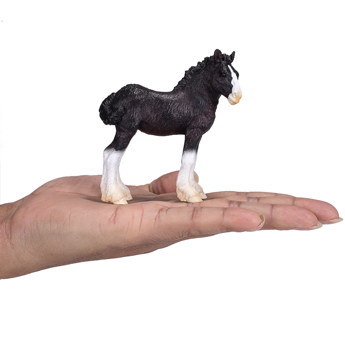 Shire Foal Toy – Realistic Equestrian Figurine Shire Foal Toy – Realistic Equestrian Figurine - Image 4