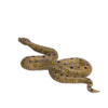 Anaconda Toy – Realistic Giant Snake Figure Anaconda Toy – Realistic Giant Snake Figure - Image 4