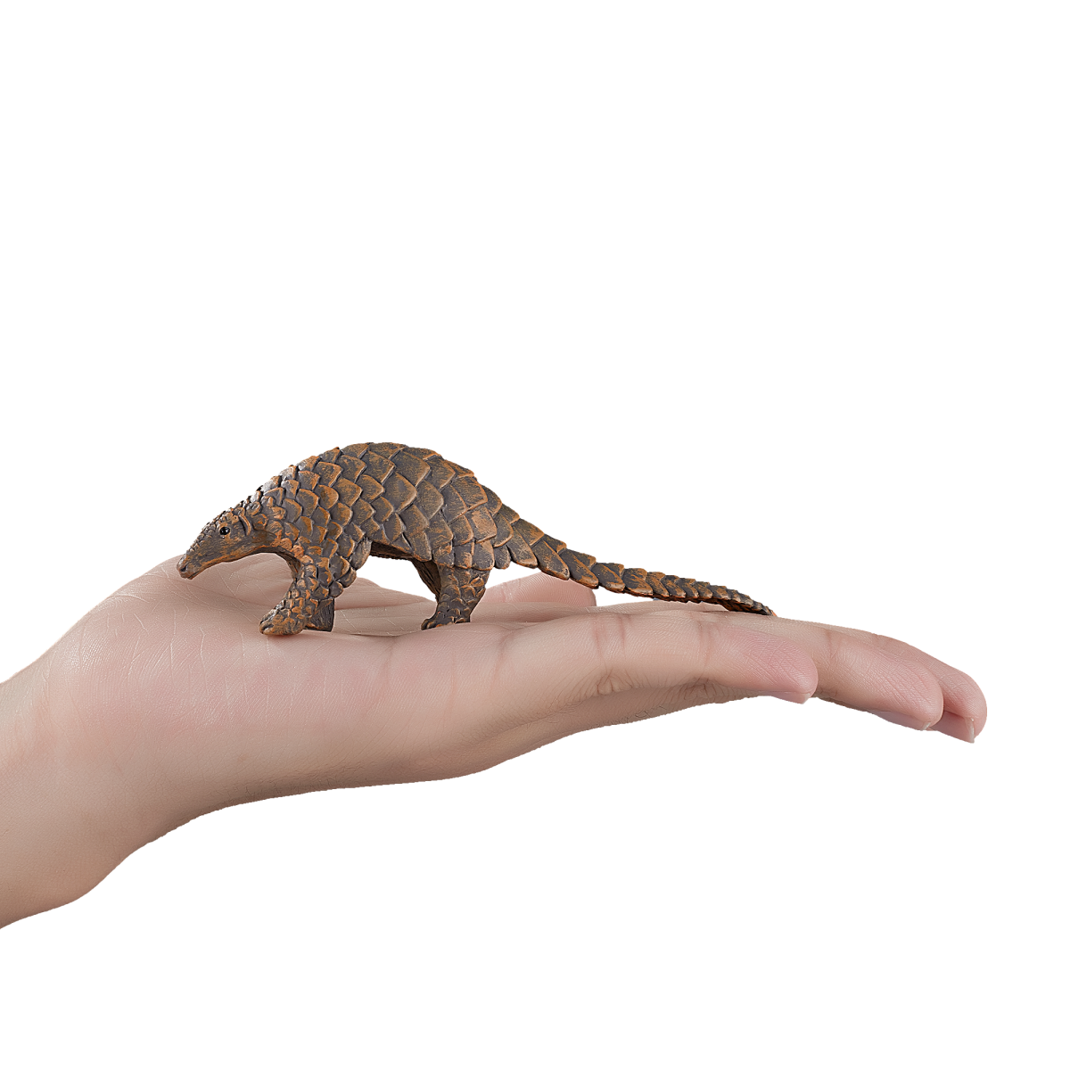 Indian Pangolin Toy – Realistic Wildlife Figure Indian Pangolin Toy – Realistic Wildlife Figure - Image 4