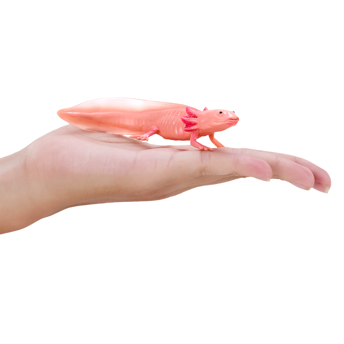 Axolotl Toy – Realistic Amphibian Figurine Axolotl Toy – Realistic Amphibian Figurine - Image 4