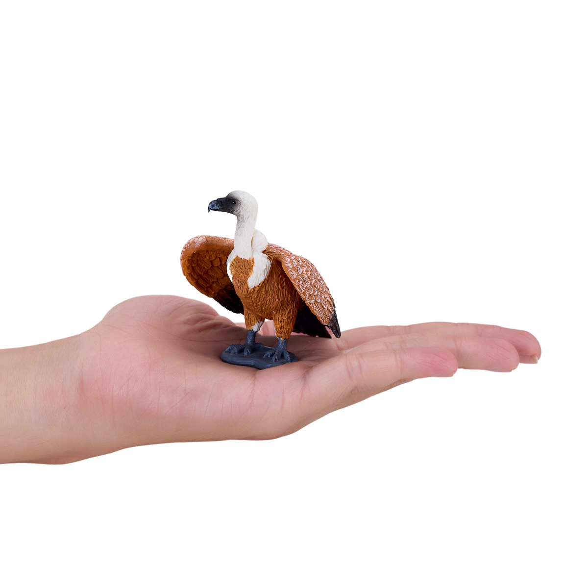 Griffon Vulture Toy Realistic Bird of Prey Model Griffon Vulture Toy Realistic Bird of Prey Model - Image 4