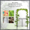 Metal Decorative Backyard Arch Gate Garden Arbor for Climbing Plants Outsunny Metal Decorative Backyard Arch Gate Garden Arbor for Climbing Plants Outsunny - Image 5