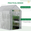Walk-in Greenhouse - Image 5