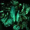 Set of 18 Glow in the Dark Butterflies - Image 2