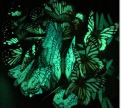 Alternative view of Set of 18 Glow in the Dark Butterflies