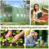 Polytunnel Walk-in Greenhouse with Zip Door and Windows - Image 7