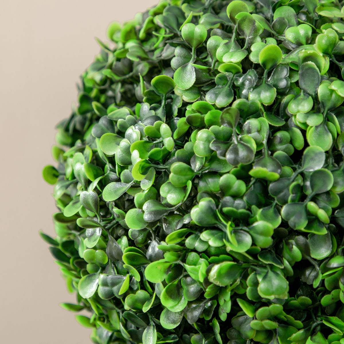 Set of 2 Artificial Boxwood Ball Trees in Pots – 60cm Indoor Outdoor Plants Set of 2 Artificial Boxwood Ball Trees in Pots – 60cm Indoor Outdoor Plants - Image 7