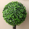 Set of 2 Artificial Boxwood Ball Trees in Pots – 60cm Indoor Outdoor Plants Set of 2 Artificial Boxwood Ball Trees in Pots – 60cm Indoor Outdoor Plants - Image 8