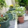 Whitefurze 38cm Square Venetian Planter - Terracotta