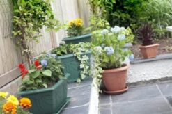 Alternative view of 38cm Square Venetian Planter – Terracotta