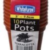 Whitefurze 7.5cm Garden Pot - Terracotta (Set of 10)