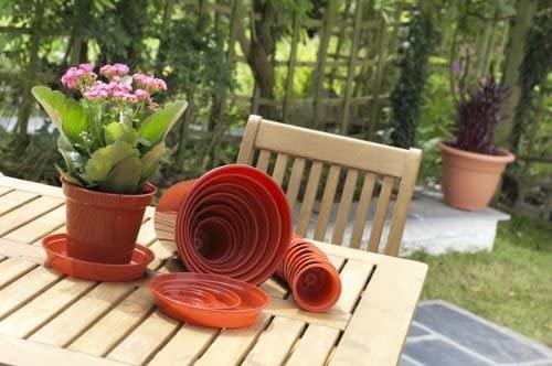 Whitefurze 7.5cm Garden Pot - Terracotta (Set of 10) Whitefurze 7.5cm Garden Pot - Terracotta (Set of 10) - Image 2