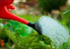 Alternative view of 6L Garden Watering Can – Red