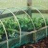 6 X GARDEN NETTING 2M X 10M