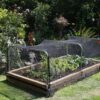 6 X GARDEN NETTING 2M X 10M