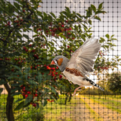 Alternative view of 6 X GARDEN NETTING 2M X 10M