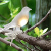 Clip-On Bird Decoration with Solar Light Set of 5 Clip-On Bird Decoration with Solar Light Set of 5 - Image 2