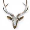 51cm Silver Stag Deer Head Wall Décor