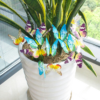 Set of 18 Glow in the Dark Butterflies Set of 18 Glow in the Dark Butterflies